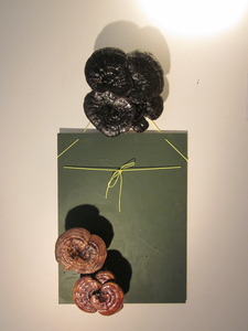 20130131020825-img_1347