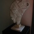 20130131043405-dscn9736-large