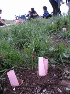20130131054135-wishes_planted-_wishmachine