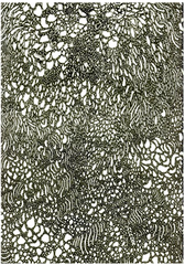 Moss   ,Caitlin Foster
