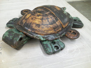 20130131181538-ollin_turtle