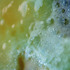 20130131213851-juice-1