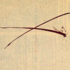 20130131223303-slavsforreasons