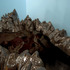 20130201164816-lucas_marne_08