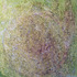 20130201165835-grass1