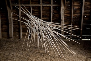Singularity,Christopher Kurtz