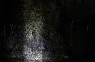Inertia 2,Carlos Irijalba