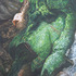 20130203151234-coffin_call_2