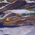 20130203205958-facebook_photo_shout