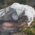 20130203210308-facebook_photo_sight