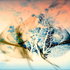 20130203210341-l_adoration_de_la_terre