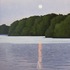20130203221810-moon-light-on-lake-wisconsin-p