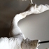 20130204035050-handel_2