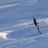 20130204150303-dscf8180