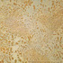 20130204155113-randompattern_color_corrected-1