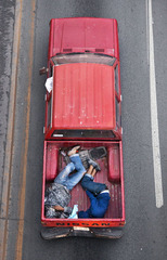 Car Poolers 15 ,Alejandro Cartagena