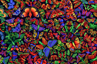 The Other Side of Midnight,Zadok Ben David