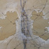 20130204181846-hannahbowmaninparlanceofmarinersfull