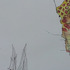 20130204184217-hannahbowmanswitzerland2detail4