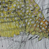 20130204184320-hannahbowmanswitzerland2detail5