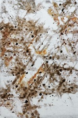 Les Micachromes (detail) ,Evariste Richer