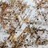 20130204190924-ciapv-evariste_richer-018_web