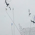 20130204191652-switzerland_3_deatil1