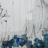 20130204192044-switzerland_3_deatil5