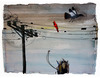 20130204230118-reeves-twobirds