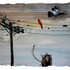 20130204230118-reeves-twobirds