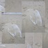 20130205003714-silence03