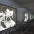 20130205013457-cfigs_photograph_serralves040