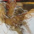 20130205152932-a__2_b_20_x28___50x70_cm_-_handmade_paper__-__mixed_art
