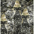 20130205153326-lost4000x3648x1069