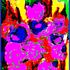 20130205155805-abstractflowersdesignjan28