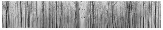 Existential Emptiness, No. 3,Cui Xiuwen
