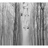 20130205173327-cui_xiuwen_existential_emptiness_no3_c-print_85x450cm_2009
