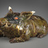 20130205214716-dac_gilhooly_warthog