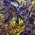 20130206030842-rebirth_sm_derek_k_nielsen