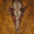 20130206172704-coyote