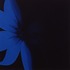 20130206191124-blue_flower_48x48
