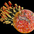 20130206195808-solarwinds
