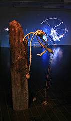 BRX November 2008 Installation,Wolfgang Ganter