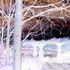20130207031814-as_getty_3_inv