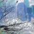 20130207053049-glowing_sky
