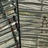 20130207110710-dorit_jordandotan_02