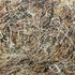 20130207163829-autumn_mist_-_4_ft_w__x_3_ft_h