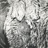20130207165426-bison_final_final_hide_detail_sm