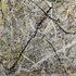 20130207165704-optical_haiku_-_3_ft_w__x_4_ft_h