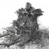 20130207172718-rick_shaefer_uprooted_sycamore_sm_wip_